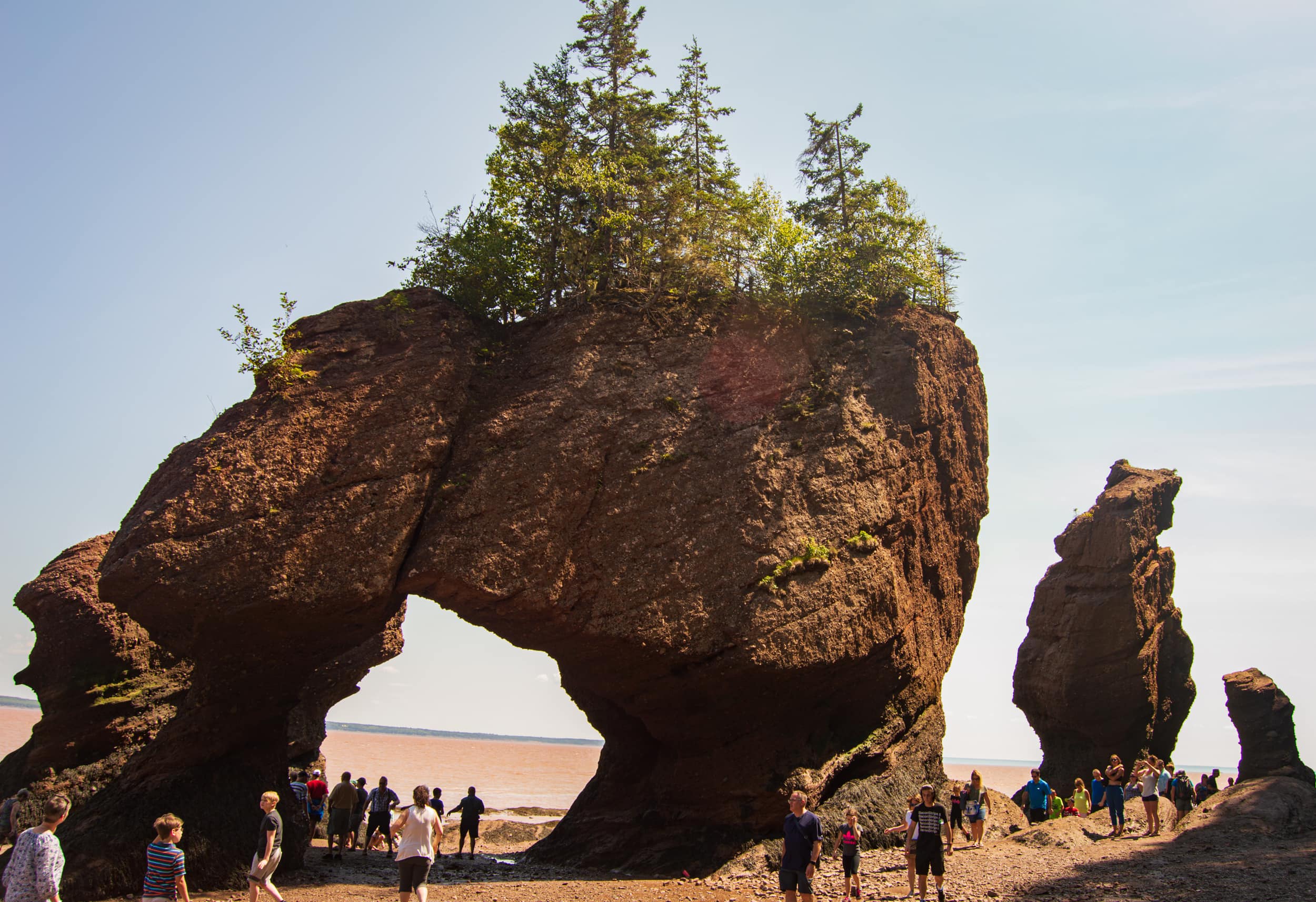 Hopewell Rocks at low tie