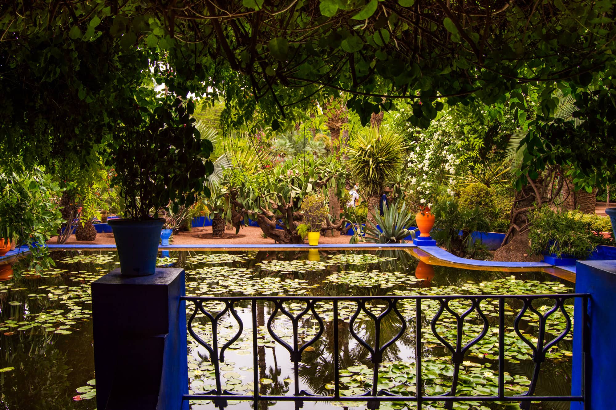 Majorelle Garden