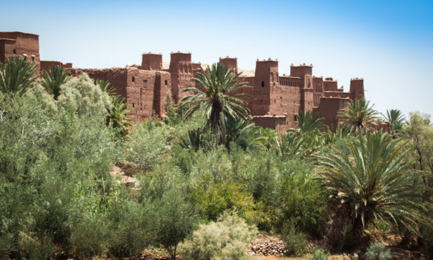 On the Road to the Sahara