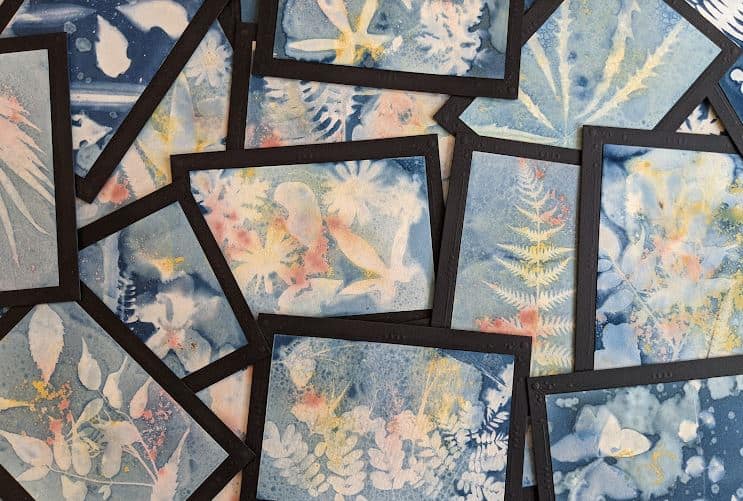 Cyanotypes