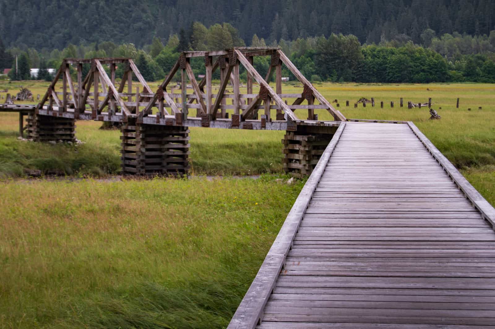 Stewart Estuary Boardwalk